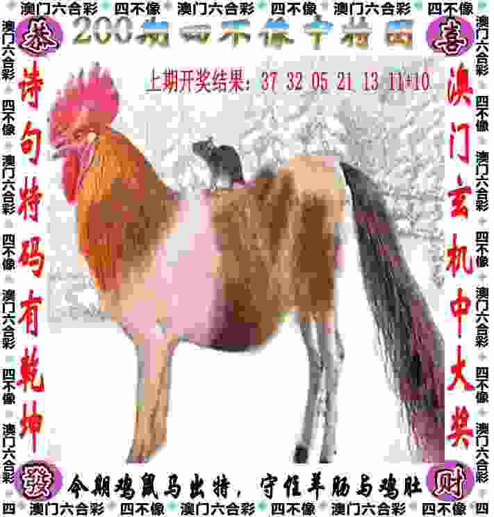 >新澳门开奖记录查询